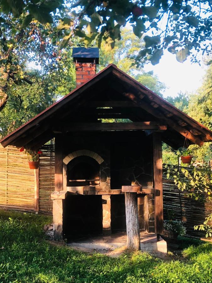 Еко Дім З Соломи Villa Solochin Exteriör bild