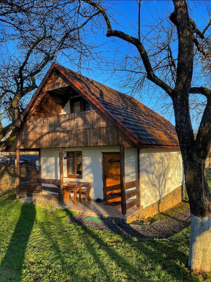 Еко Дім З Соломи Villa Solochin Exteriör bild
