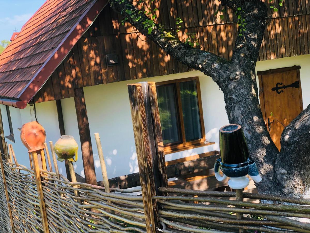 Еко Дім З Соломи Villa Solochin Exteriör bild