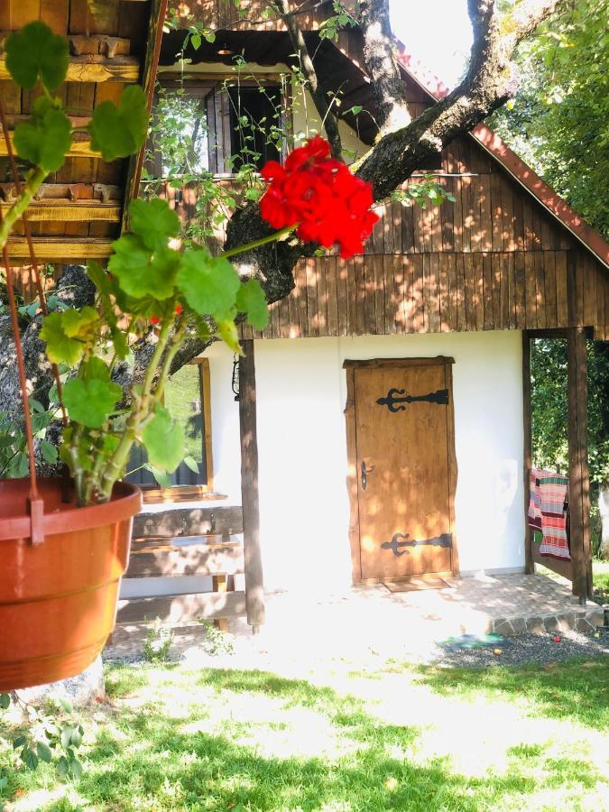 Еко Дім З Соломи Villa Solochin Exteriör bild