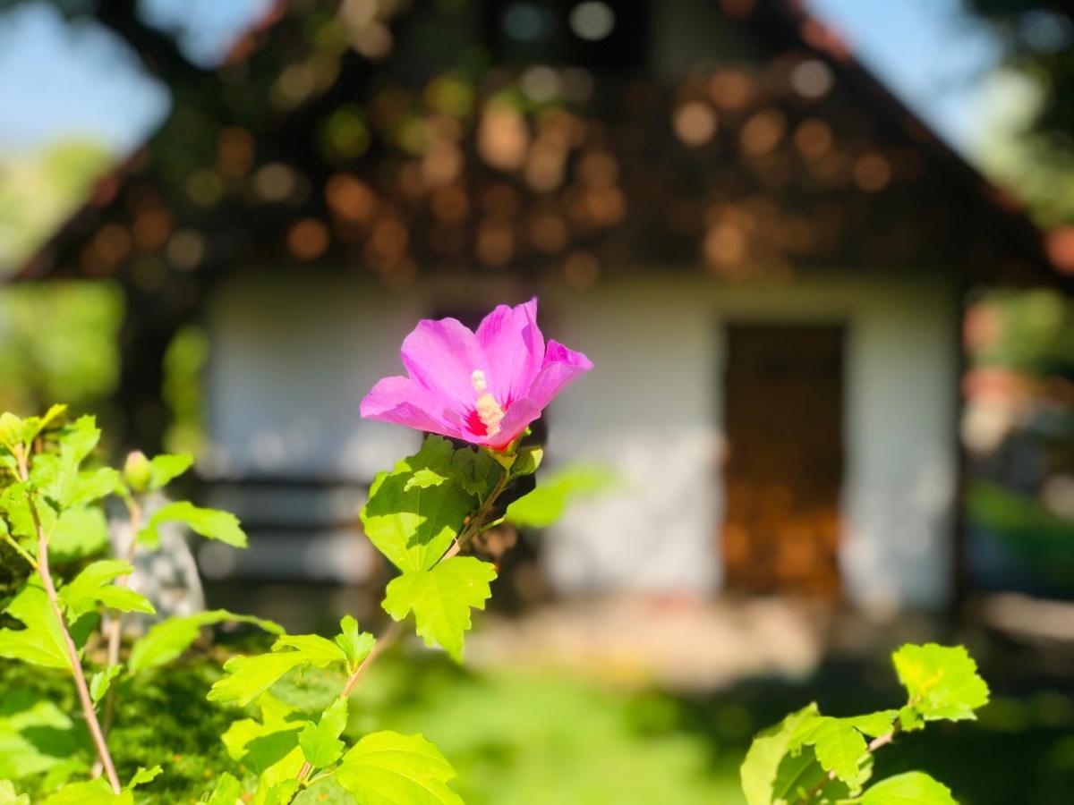 Еко Дім З Соломи Villa Solochin Exteriör bild