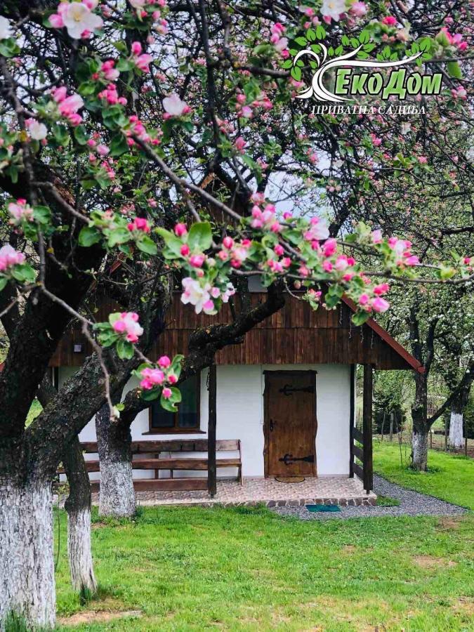 Еко Дім З Соломи Villa Solochin Exteriör bild
