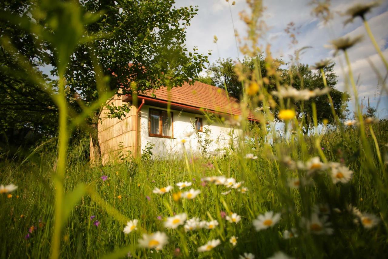 Еко Дім З Соломи Villa Solochin Exteriör bild