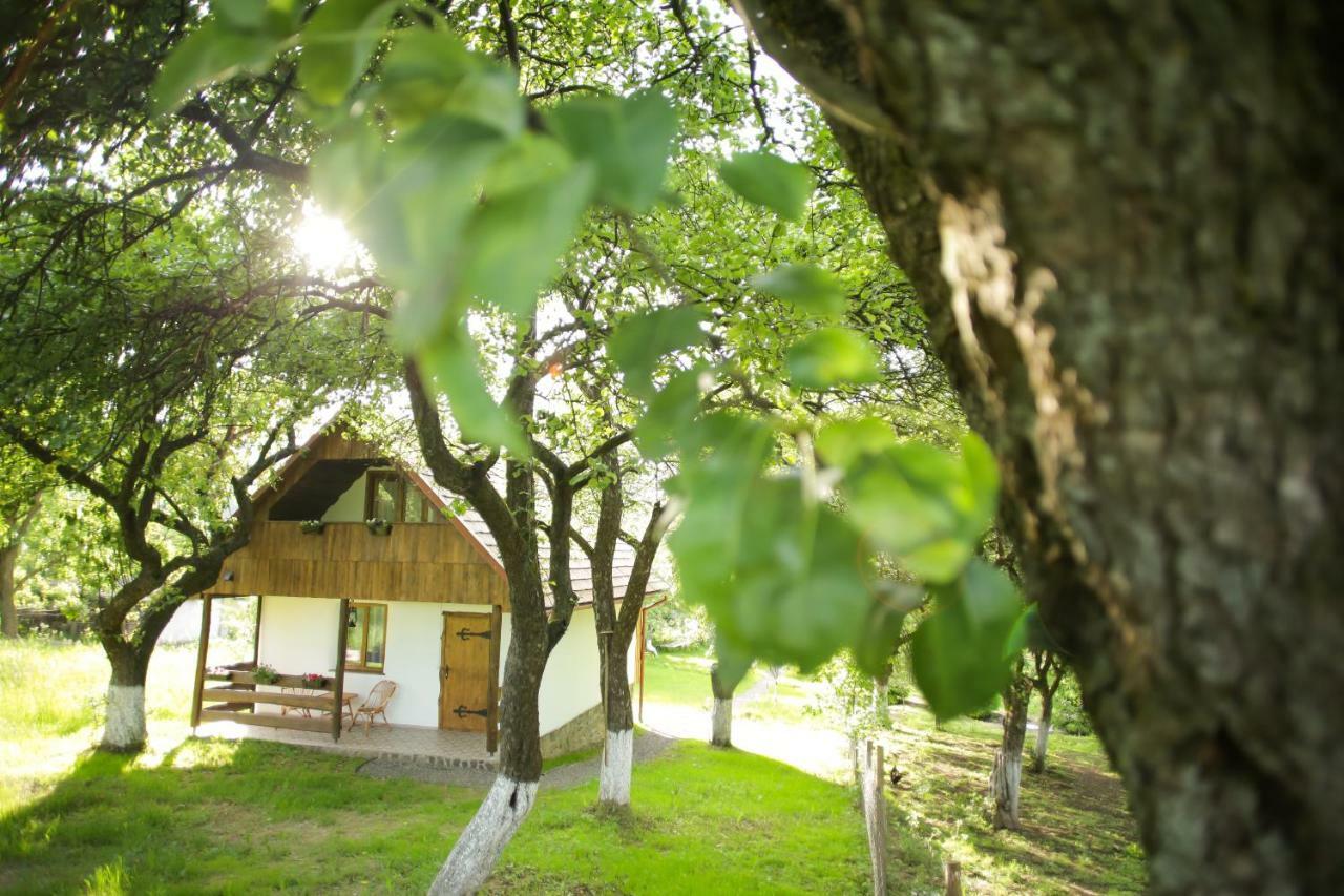 Еко Дім З Соломи Villa Solochin Exteriör bild
