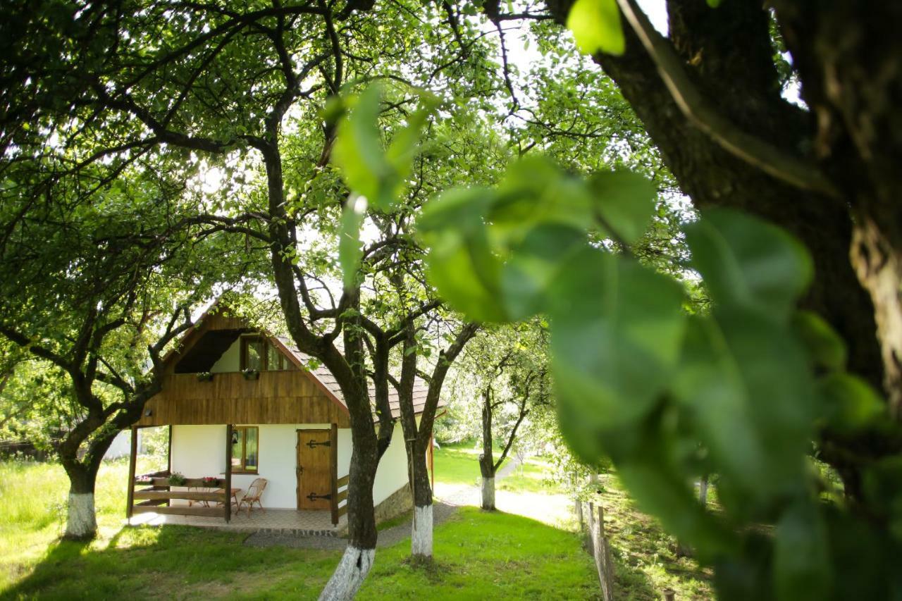 Еко Дім З Соломи Villa Solochin Exteriör bild