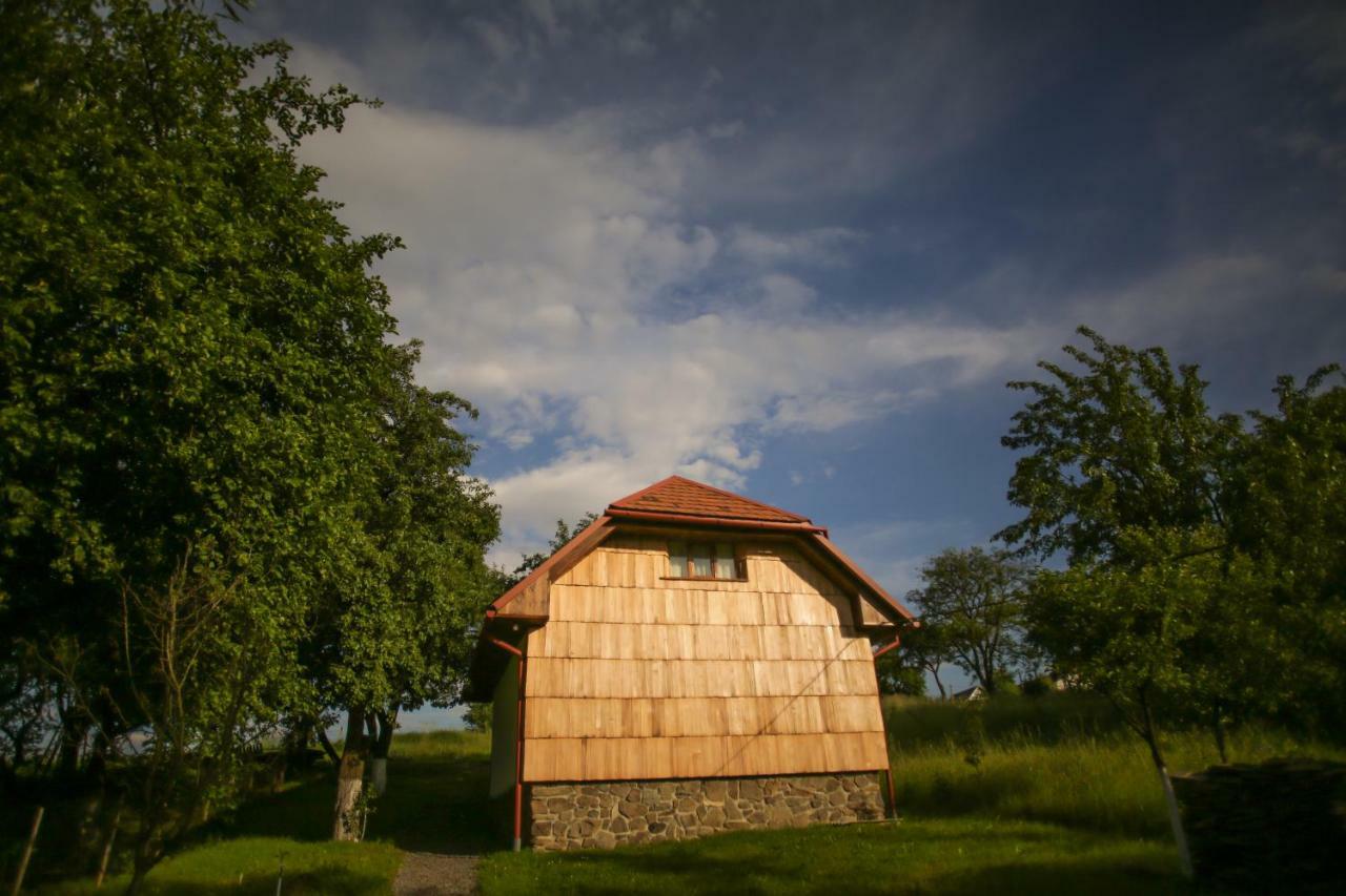Еко Дім З Соломи Villa Solochin Exteriör bild