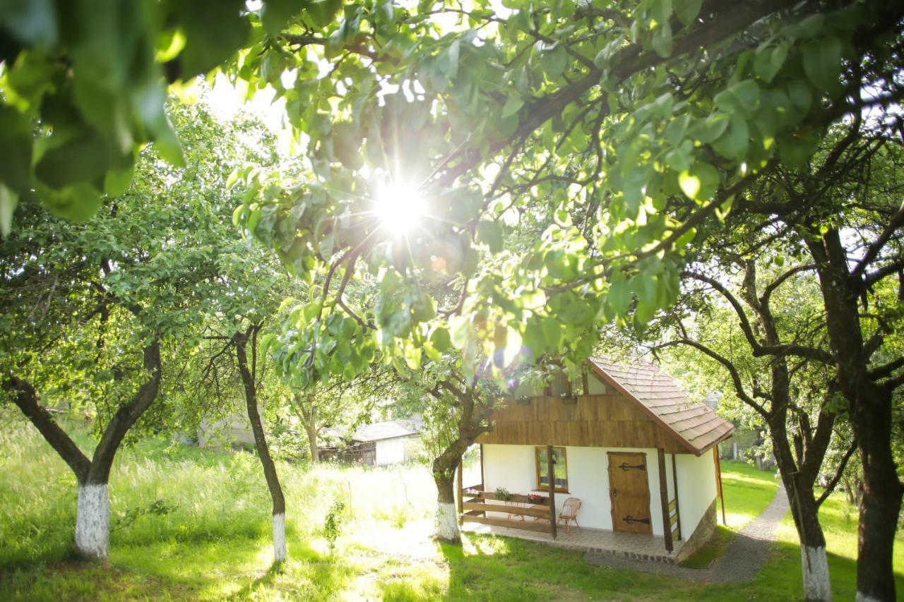 Еко Дім З Соломи Villa Solochin Exteriör bild