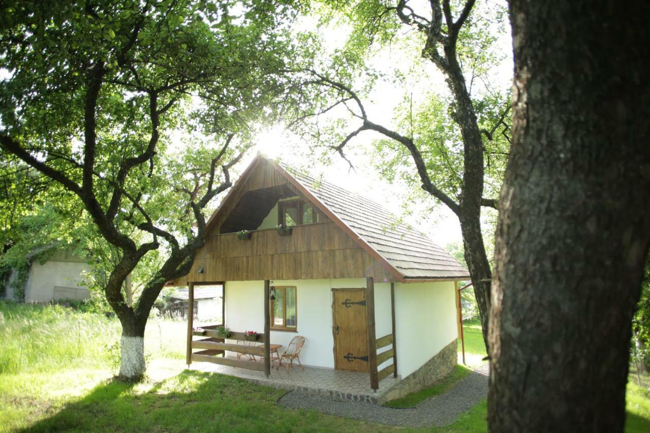 Еко Дім З Соломи Villa Solochin Exteriör bild